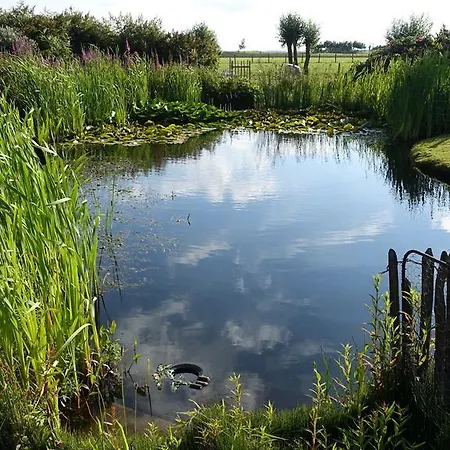 Wogmeer Spierdijk